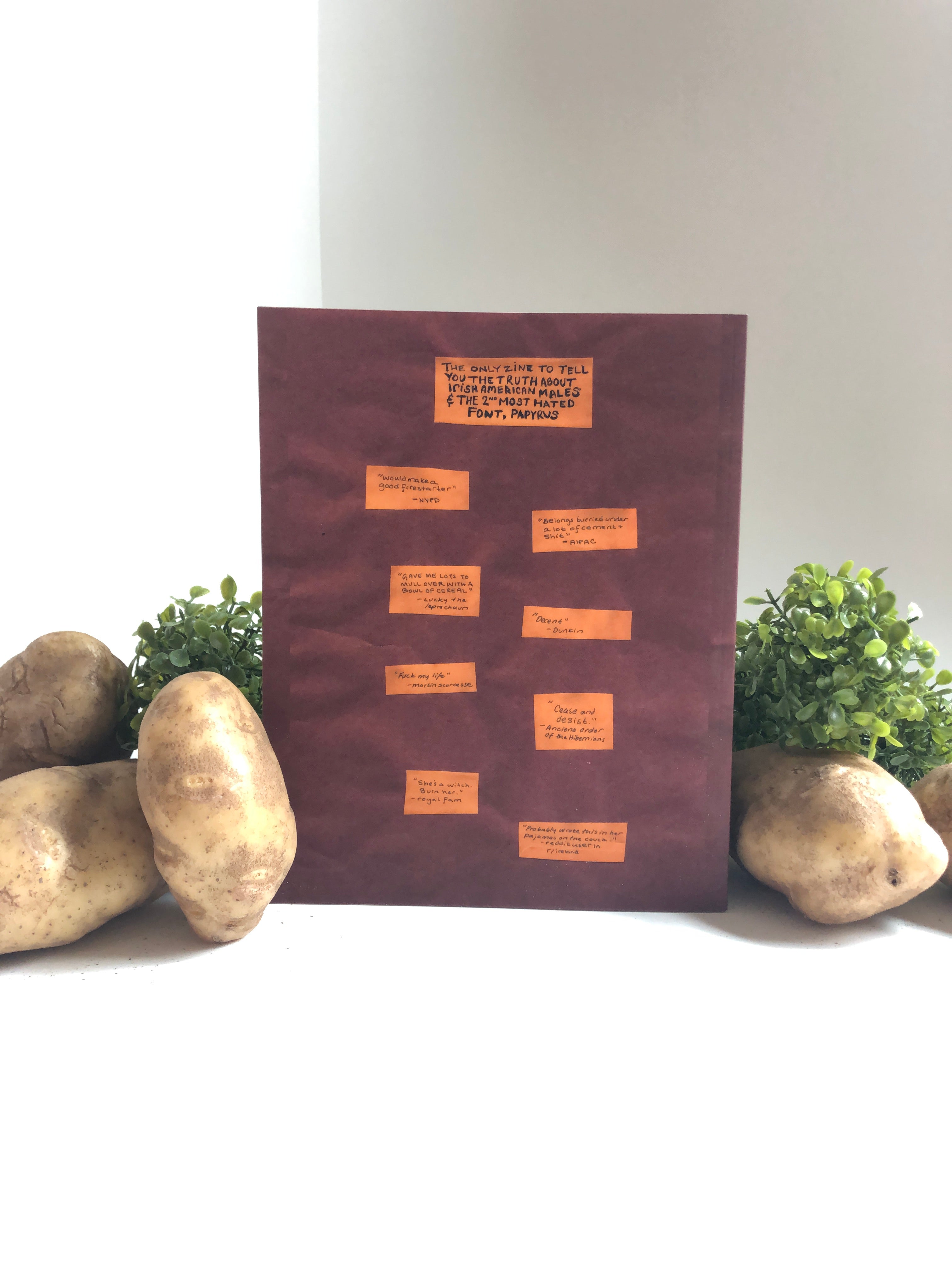 maroon paper zine with orange text on a white background with rocks and greenery.