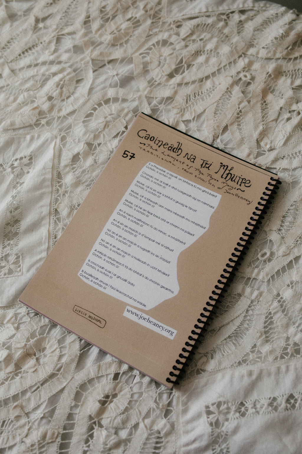 Happy Within: An Irish American Songbook